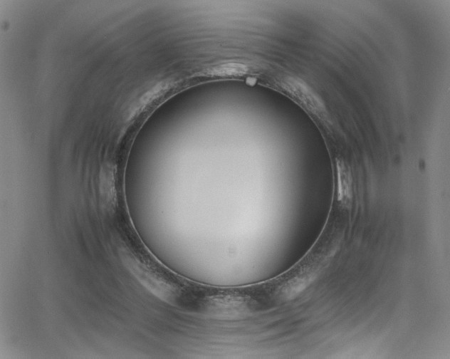 X0000062870300200601131448