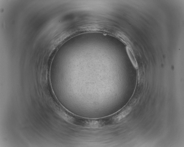 X0000062870301200601131448