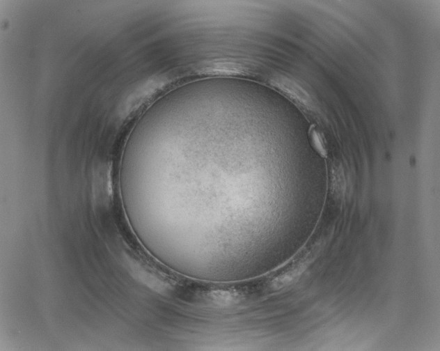 X0000062870302200601131448