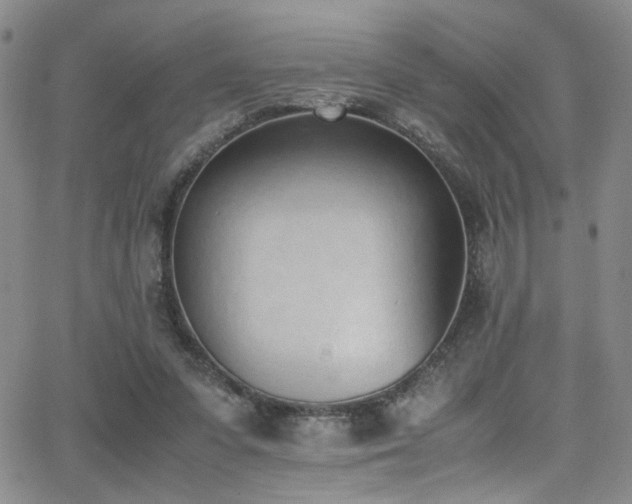 X0000062870303200601131448