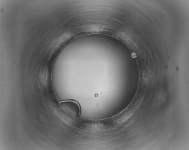 X0000062870304200601131448