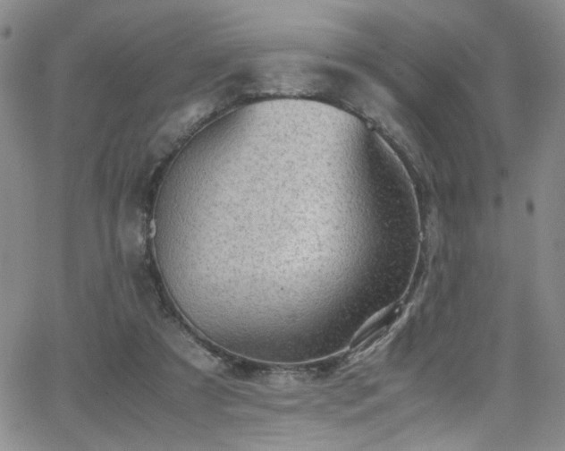 X0000062870305200601131448