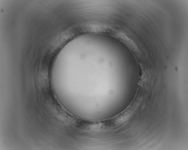 X0000062870306200601131448