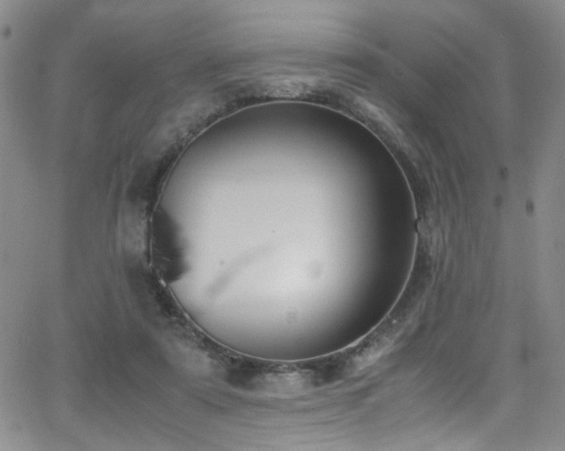 X0000062870307200601131448