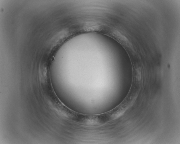 X0000062870308200601131448