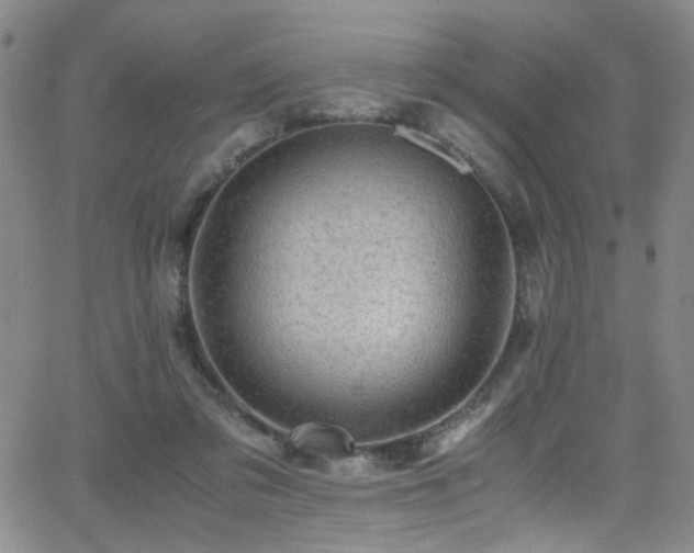 X0000062870309200601131448