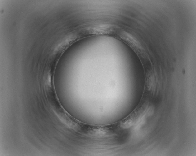 X0000062870310200601131448