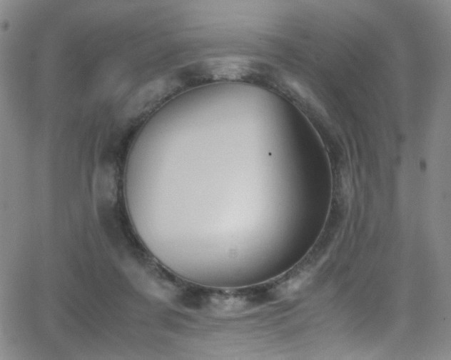 X0000062870311200601131448