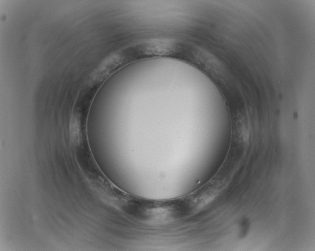 X0000062870312200601131448