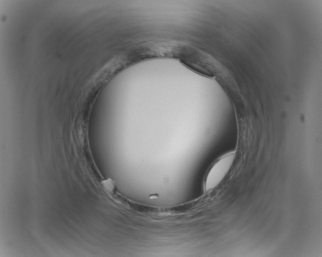 X0000062870313200601131448