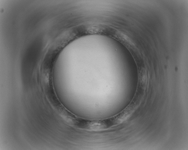 X0000062870315200601131448