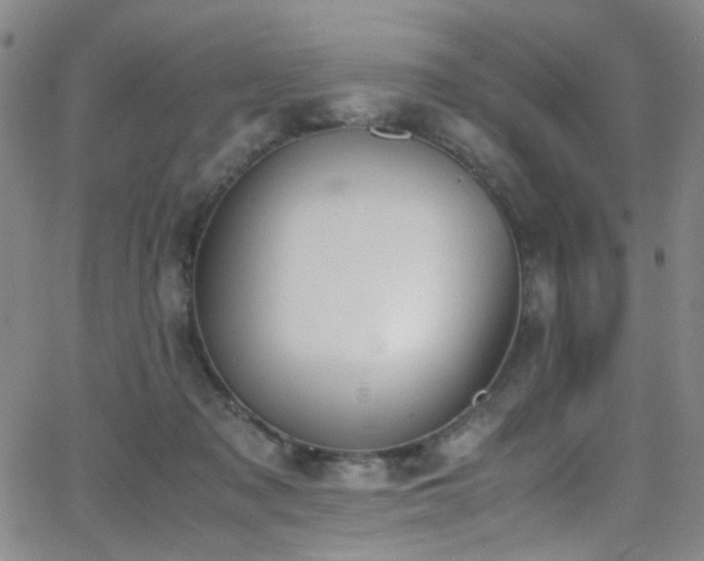 X0000062870317200601131448