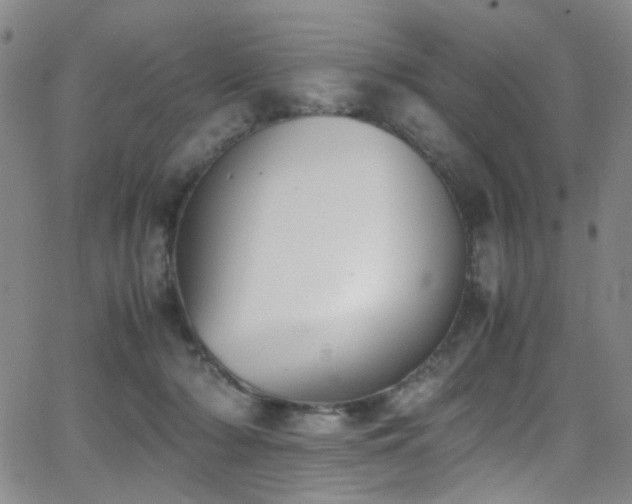 X0000062870318200601131448