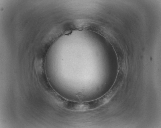 X0000062870319200601131448