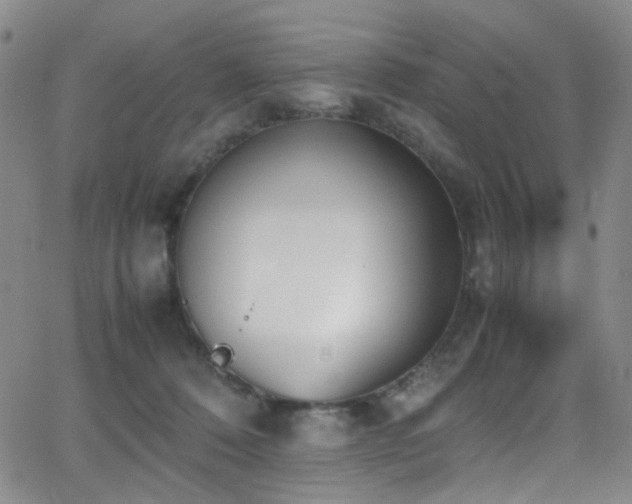 X0000062870320200601131448