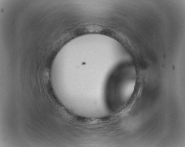 X0000062870321200601131448