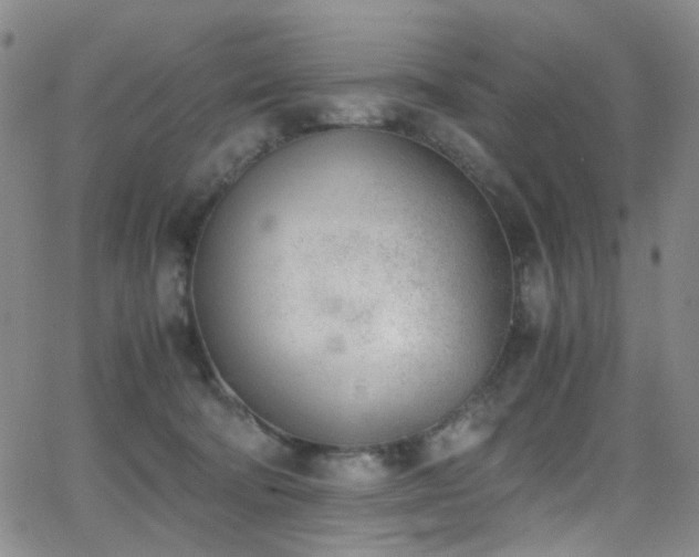 X0000062870322200601131448