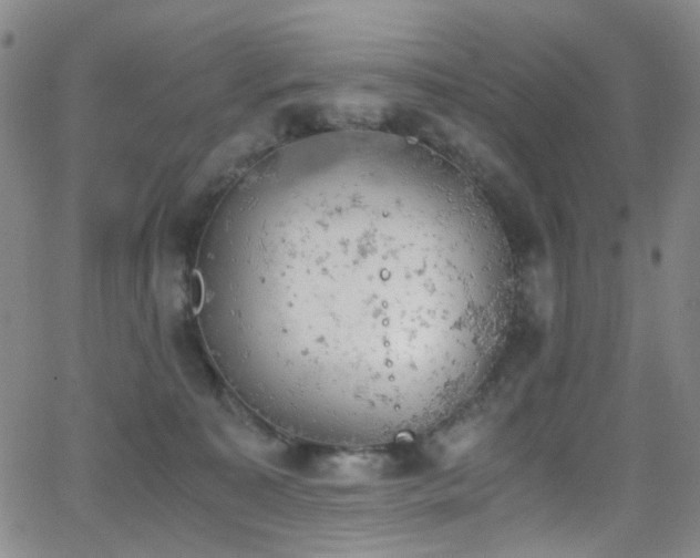 X0000062870323200601131448