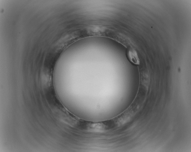 X0000062870324200601131448