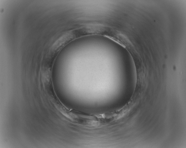 X0000062870325200601131448