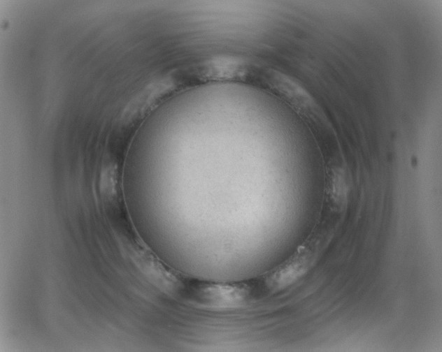 X0000062870326200601131448