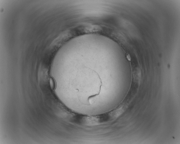 X0000062870327200601131448