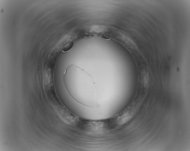 X0000062870328200601131448