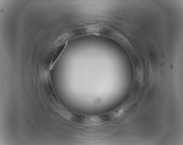 X0000062870329200601131448