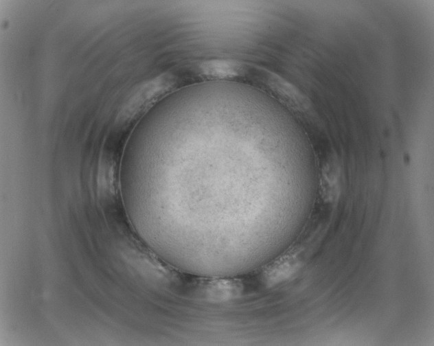 X0000062870330200601131448