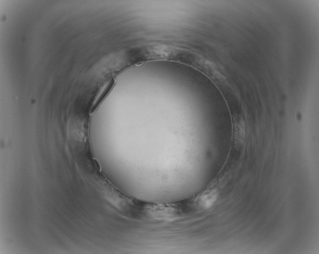 X0000062870331200601131448