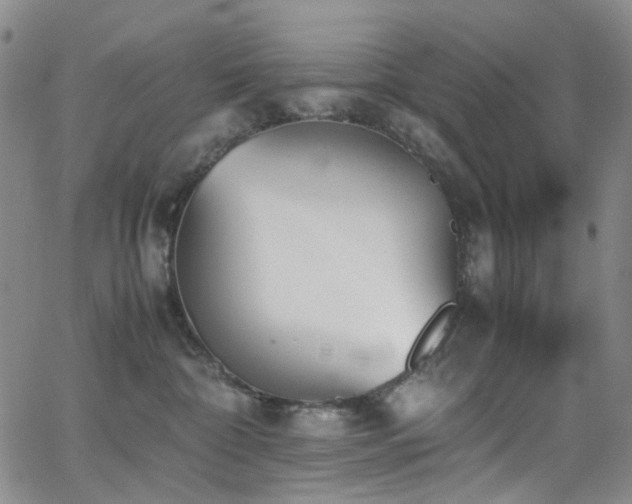 X0000062870332200601131448