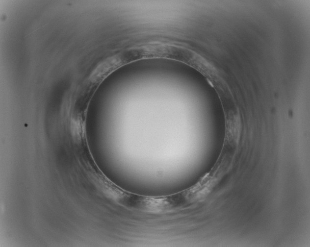 X0000062870333200601131448