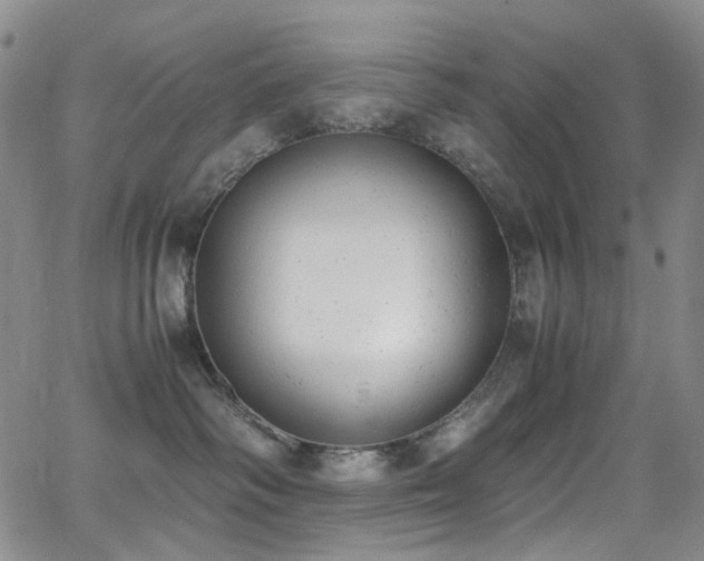 X0000062870334200601131448