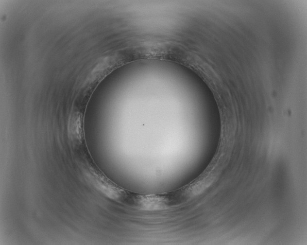 X0000062870336200601131448