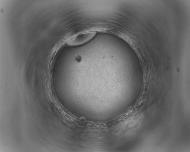 X0000062870337200601131447