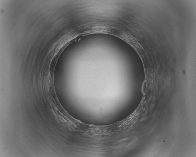 X0000062870338200601131447