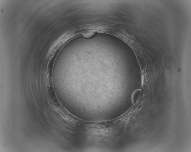 X0000062870339200601131447