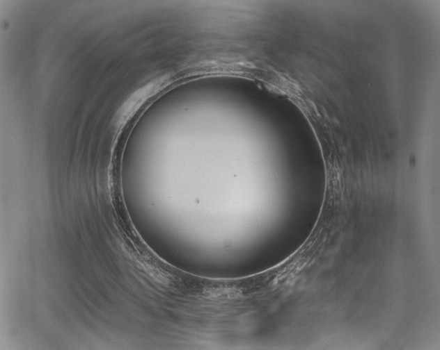 X0000062870340200601131447