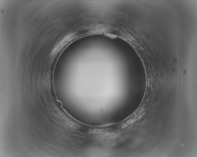 X0000062870341200601131447