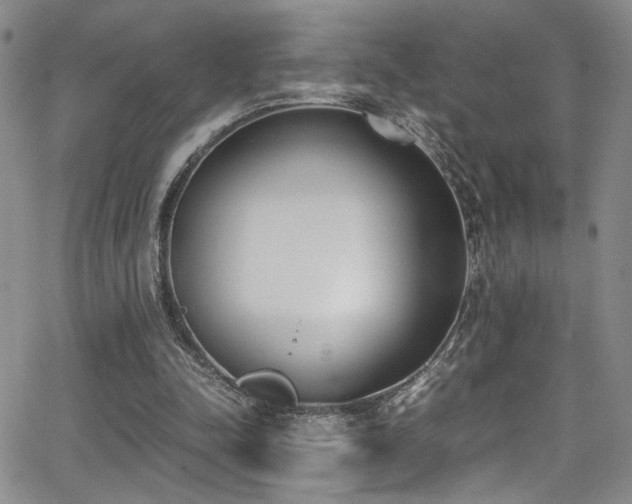 X0000062870342200601131447