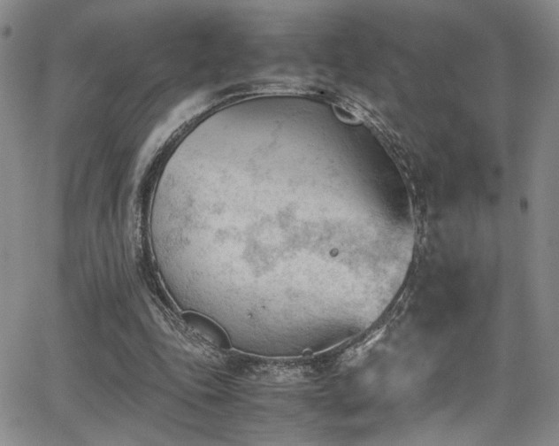 X0000062870343200601131447