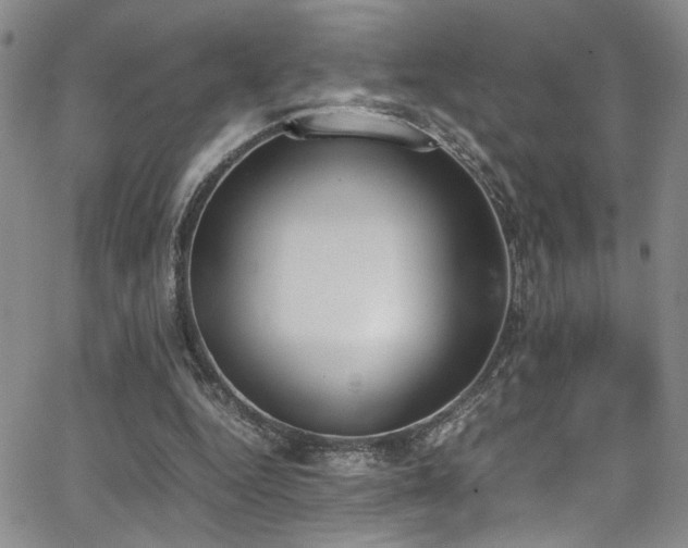 X0000062870344200601131447