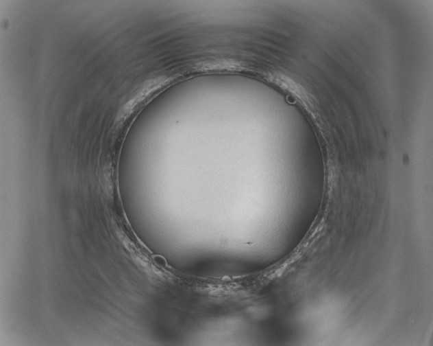 X0000062870345200601131447