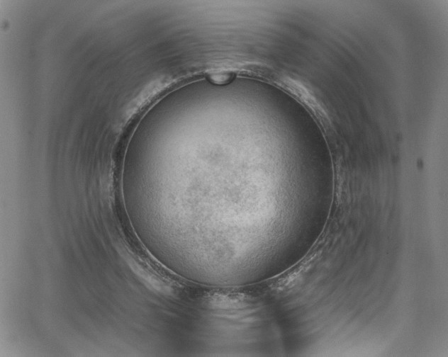 X0000062870346200601131447