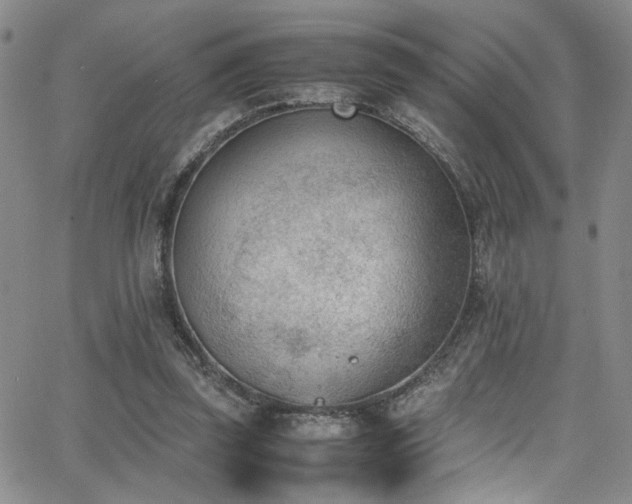 X0000062870347200601131447