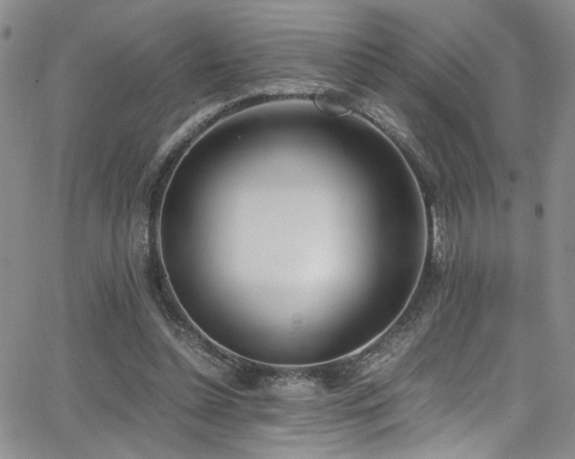 X0000062870348200601131447