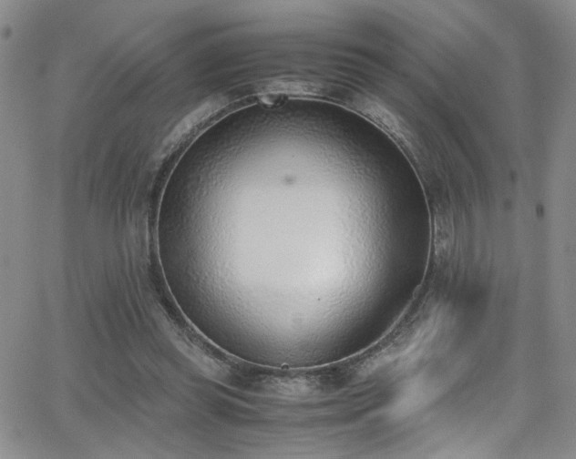 X0000062870349200601131447