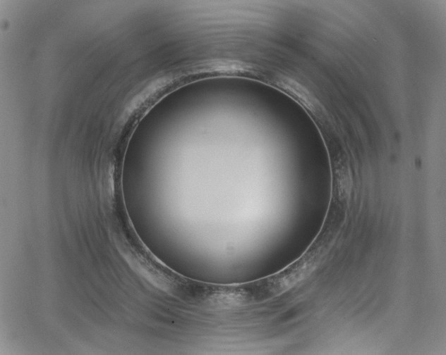 X0000062870350200601131447