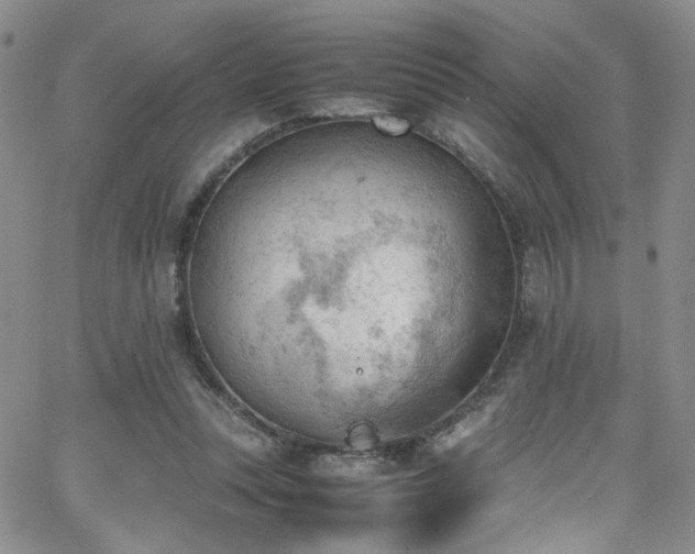 X0000062870351200601131447