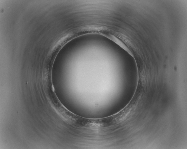 X0000062870352200601131447